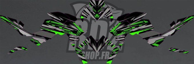 kit deco - autocollants - kawasaki - z650 - Z 650 - vert - stickers - graphics -