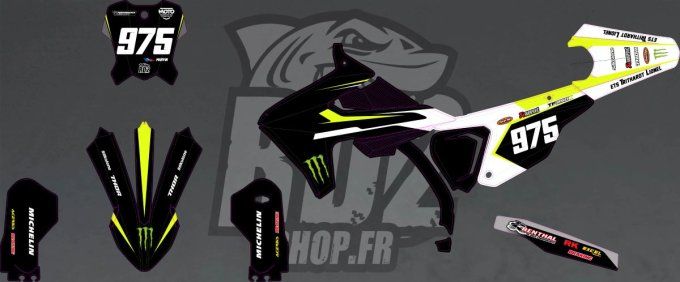 Kit déco- TRIUMPH - 450 - 250 TF-X 2024 . 2025. 2026- jaune - graphics